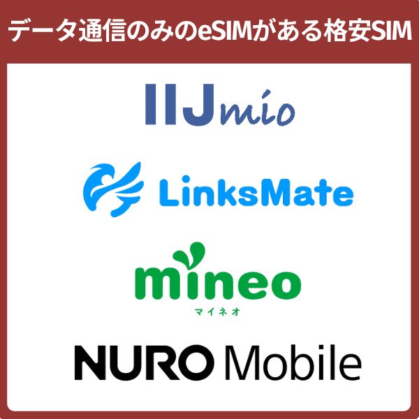 データ通信のみのeSIMがある格安SIM